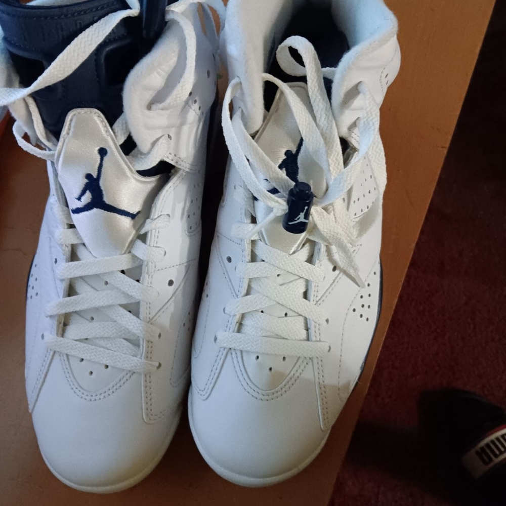 Navy and white Retro 6 Jordans
